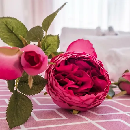 Alto Nogueiras House *